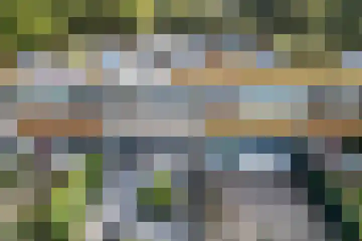 Vleerackers 40 Emmen thumbnail 32