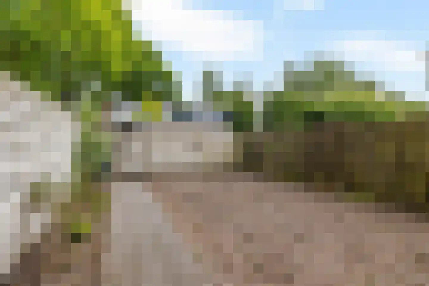 Vleerackers 46 Emmen thumbnail 19