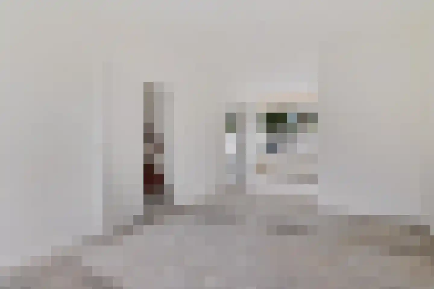 Vleerackers 46 Emmen thumbnail 8