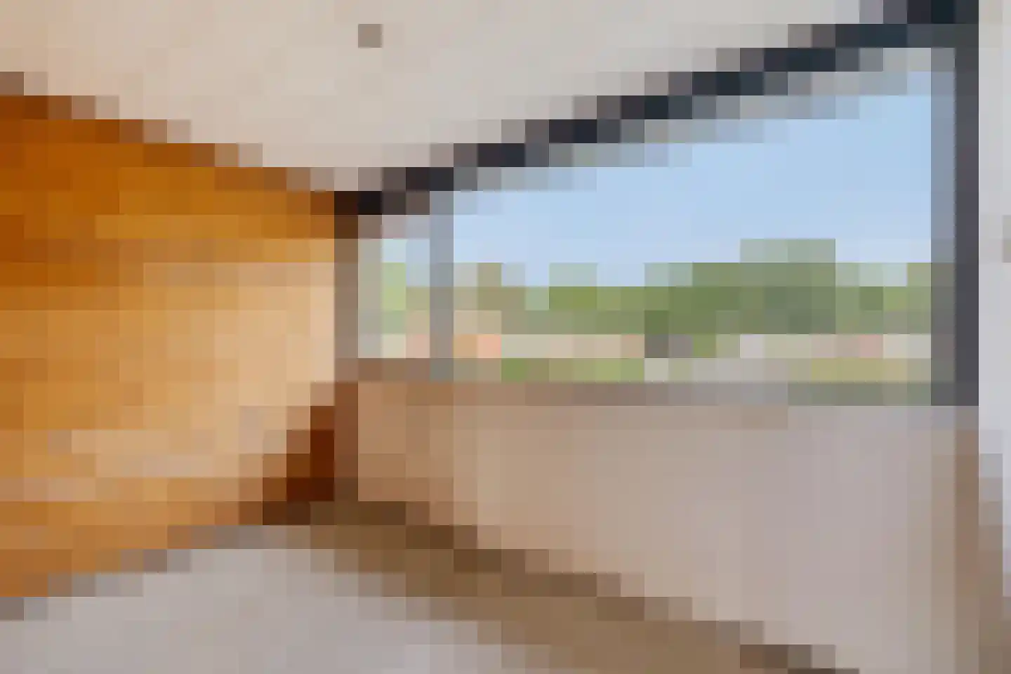Vleerackers 6 Emmen thumbnail 14