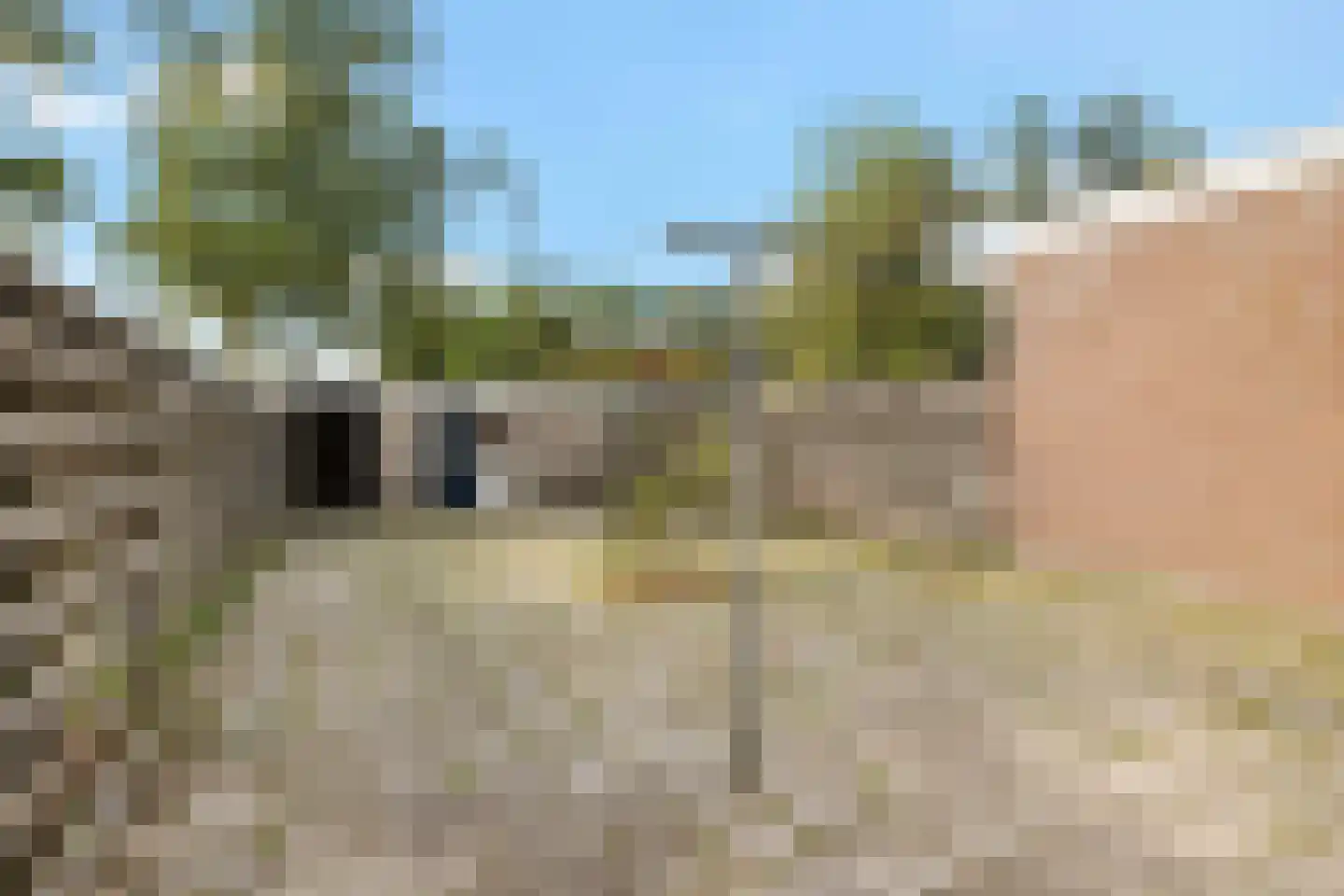 Vleerackers 6 Emmen thumbnail 19