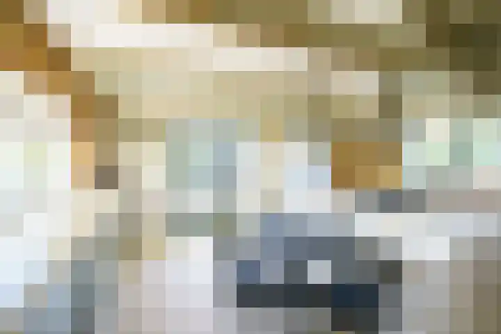 Vleerdamsedijk 18 Rockanje thumbnail 12