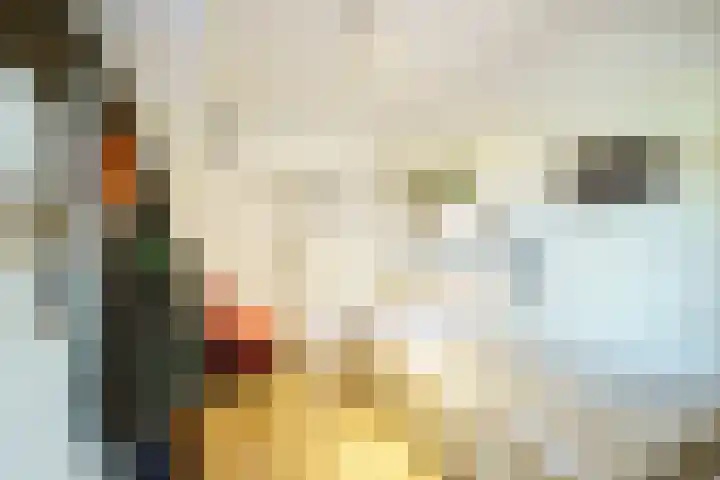 Vleerdamsedijk 18 Rockanje thumbnail 14