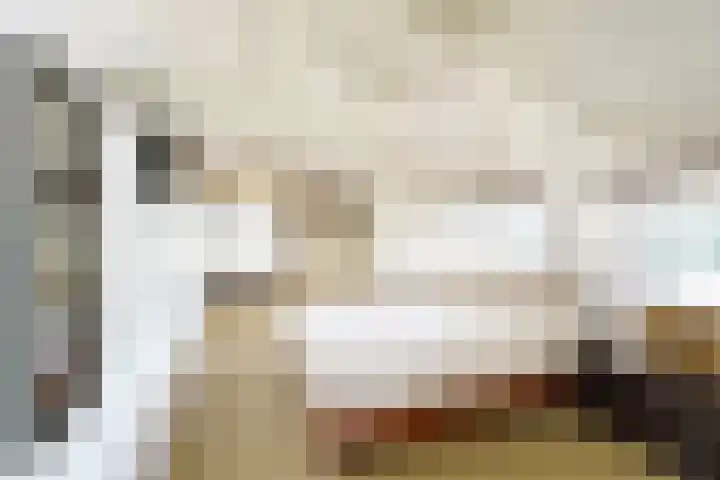 Vleerdamsedijk 18 Rockanje thumbnail 17