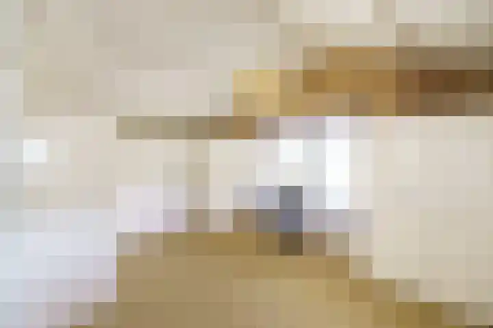 Vleerdamsedijk 18 Rockanje thumbnail 18
