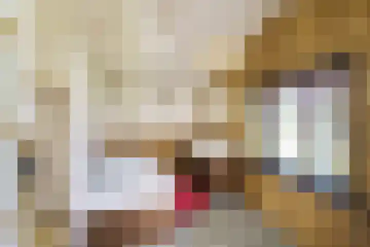 Vleerdamsedijk 18 Rockanje thumbnail 20