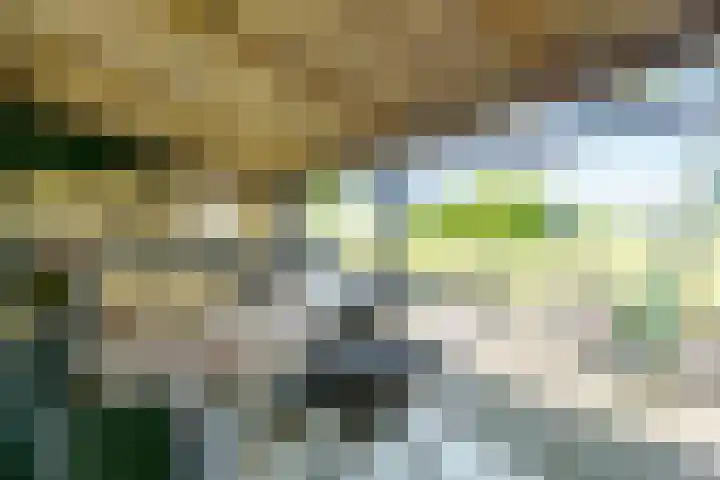 Vleerdamsedijk 18 Rockanje thumbnail 27