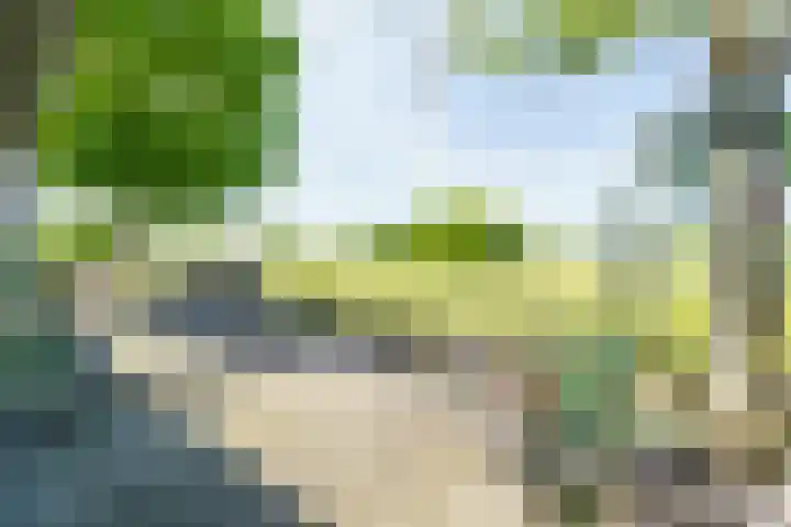 Vleerdamsedijk 18 Rockanje thumbnail 28