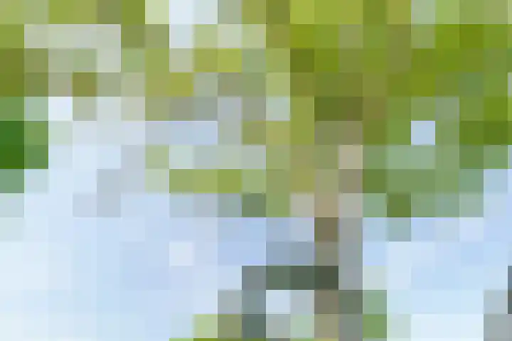 Vleerdamsedijk 18 Rockanje thumbnail 29
