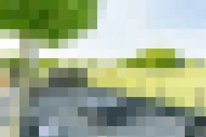 Vleerdamsedijk 18 Rockanje thumbnail 30