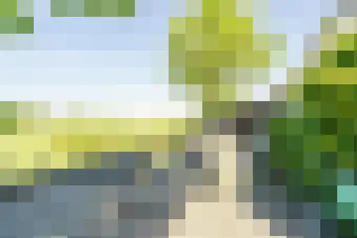 Vleerdamsedijk 18 Rockanje thumbnail 31