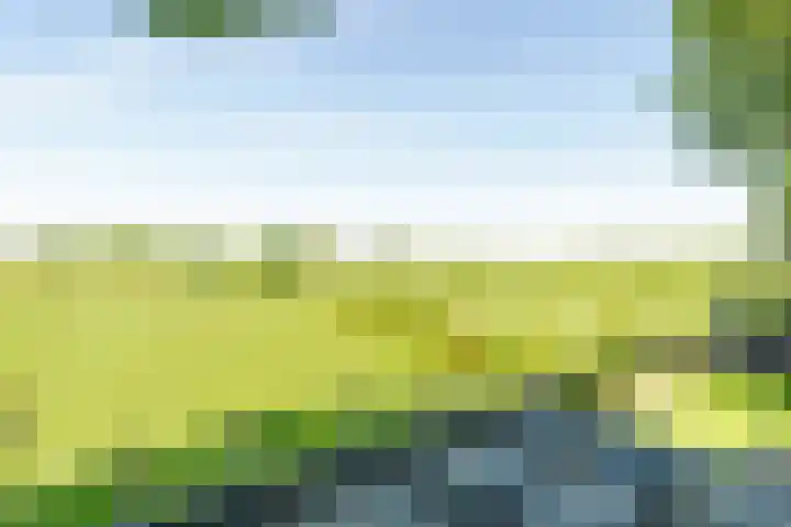 Vleerdamsedijk 18 Rockanje thumbnail 32