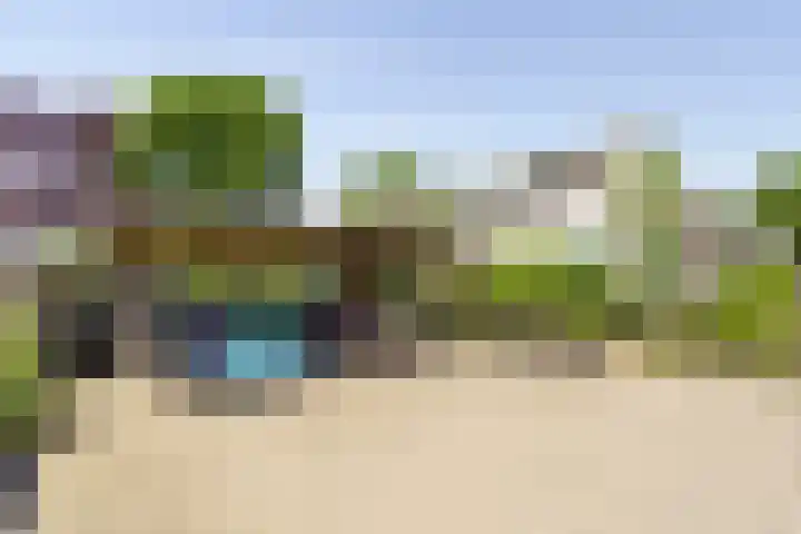 Vleerdamsedijk 18 Rockanje thumbnail 33