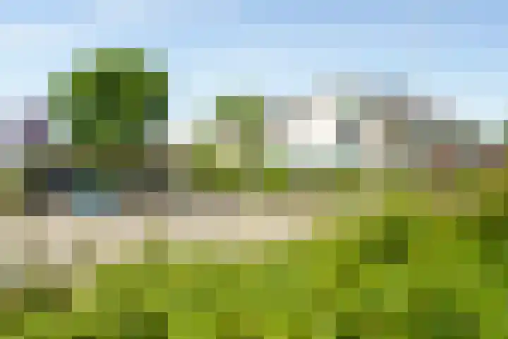 Vleerdamsedijk 18 Rockanje thumbnail 35