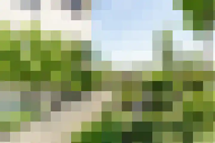 Vleerdamsedijk 18 Rockanje thumbnail 38