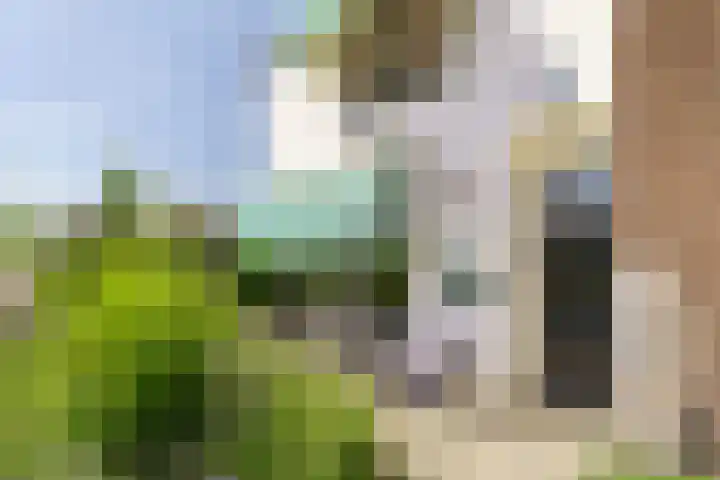 Vleerdamsedijk 18 Rockanje thumbnail 4