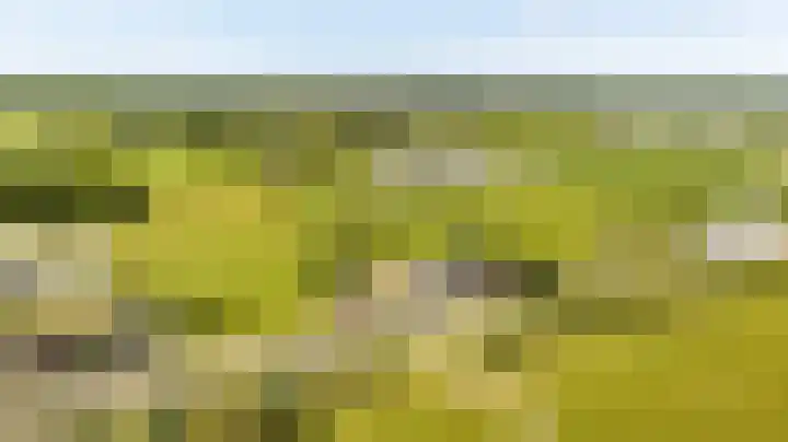 Vleerdamsedijk 18 Rockanje thumbnail 41