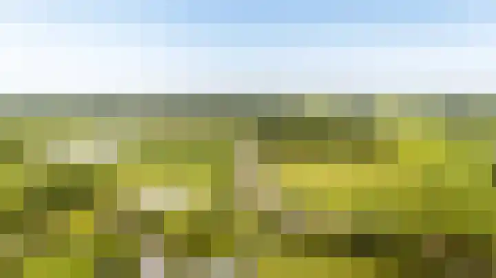 Vleerdamsedijk 18 Rockanje thumbnail 42