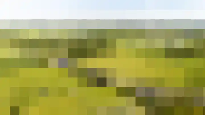 Vleerdamsedijk 18 Rockanje thumbnail 43