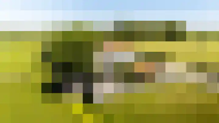 Vleerdamsedijk 18 Rockanje thumbnail 45