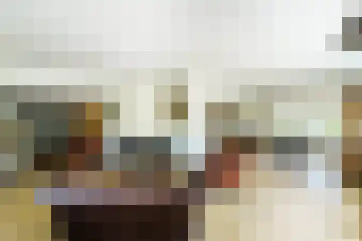 Vleerdamsedijk 18 Rockanje thumbnail 6