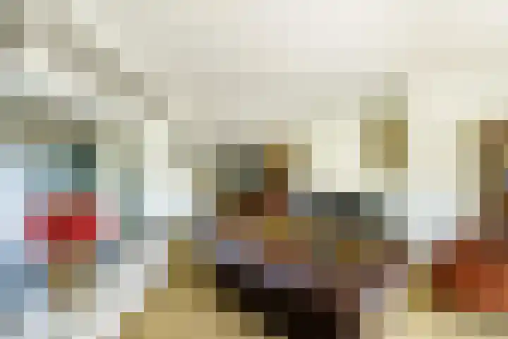 Vleerdamsedijk 18 Rockanje thumbnail 7