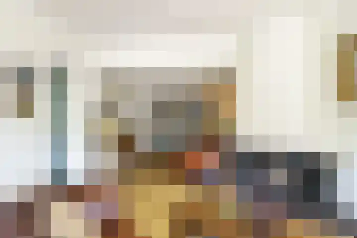 Vleerdamsedijk 18 Rockanje thumbnail 8