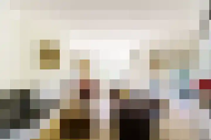 Vleerdamsedijk 18 Rockanje thumbnail 9