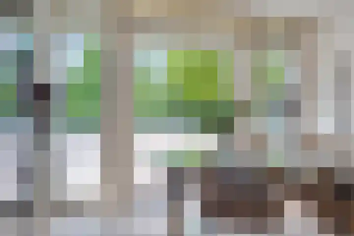 Vleeresteyn 20 Oegstgeest thumbnail 12