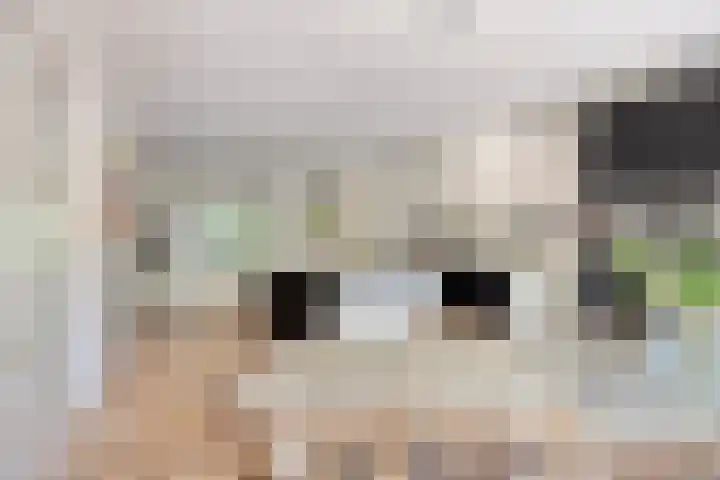 Vleeresteyn 20 Oegstgeest thumbnail 13
