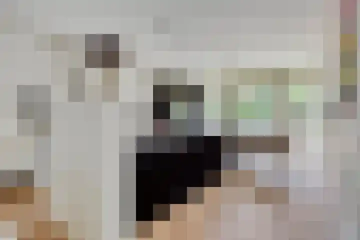 Vleeresteyn 20 Oegstgeest thumbnail 16