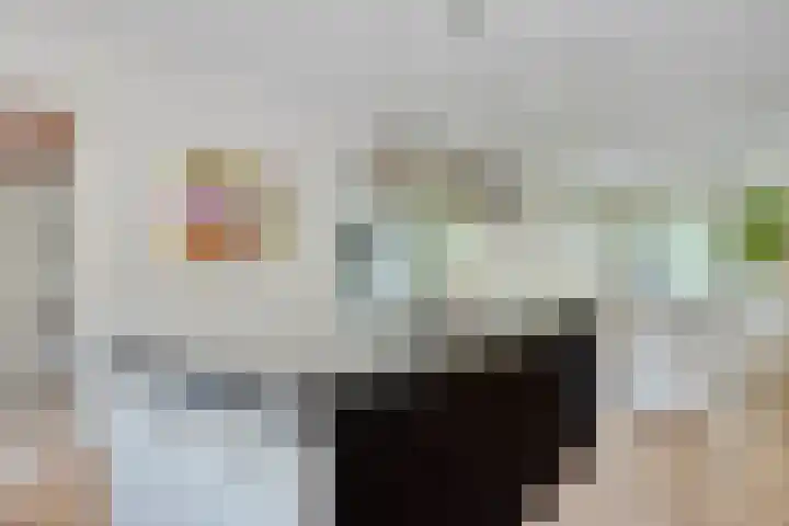 Vleeresteyn 20 Oegstgeest thumbnail 17