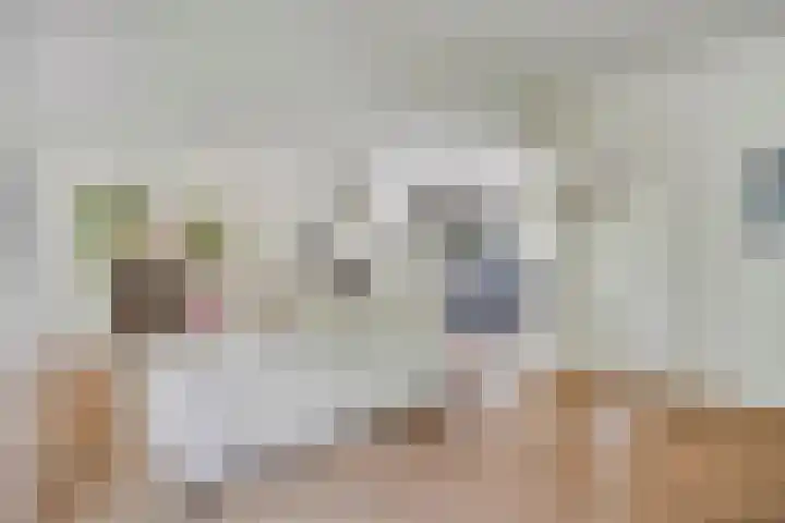 Vleeresteyn 20 Oegstgeest thumbnail 19