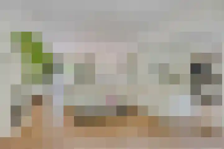 Vleeresteyn 20 Oegstgeest thumbnail 21