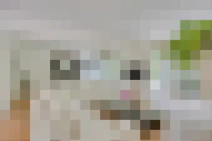 Vleeresteyn 20 Oegstgeest thumbnail 22
