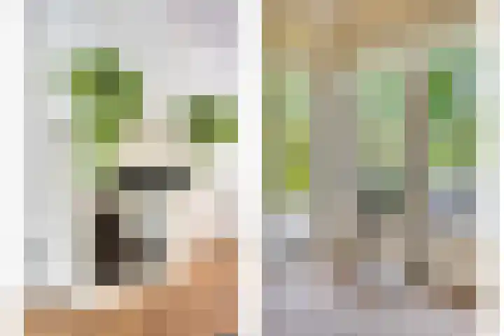 Vleeresteyn 20 Oegstgeest thumbnail 24