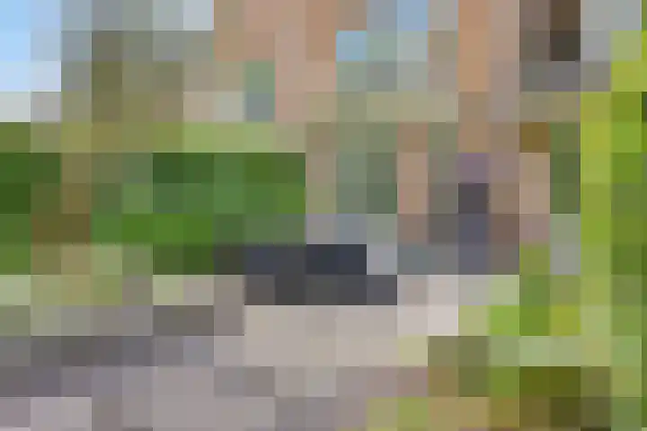 Vleeresteyn 20 Oegstgeest thumbnail 25
