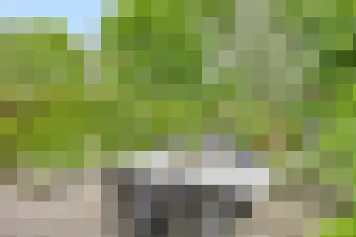 Vleeresteyn 20 Oegstgeest thumbnail 28