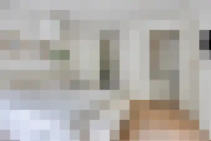 Vleeresteyn 20 Oegstgeest thumbnail 33