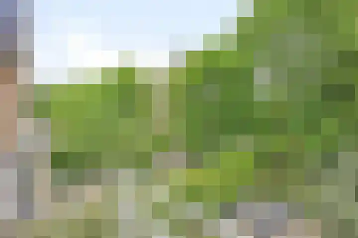 Vleeresteyn 20 Oegstgeest thumbnail 35