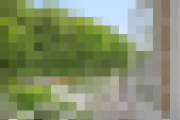 Vleeresteyn 20 Oegstgeest thumbnail 36