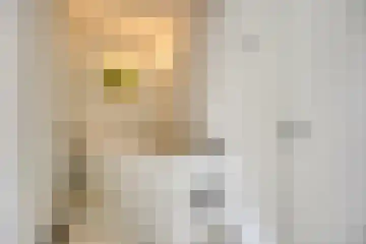 Vleeresteyn 20 Oegstgeest thumbnail 37