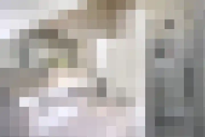 Vleeresteyn 20 Oegstgeest thumbnail 39