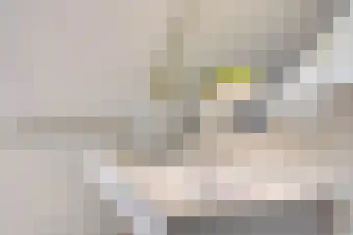 Vleeresteyn 20 Oegstgeest thumbnail 40