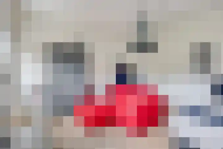 Vleeresteyn 20 Oegstgeest thumbnail 41