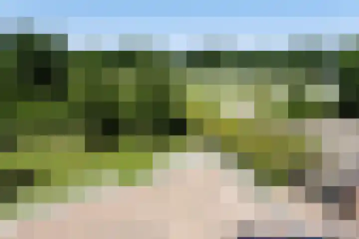 Vleeresteyn 20 Oegstgeest thumbnail 50