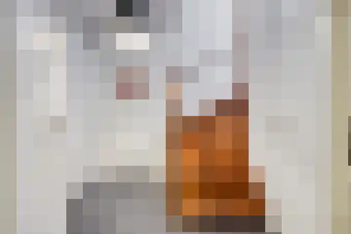 Vleeresteyn 20 Oegstgeest thumbnail 53