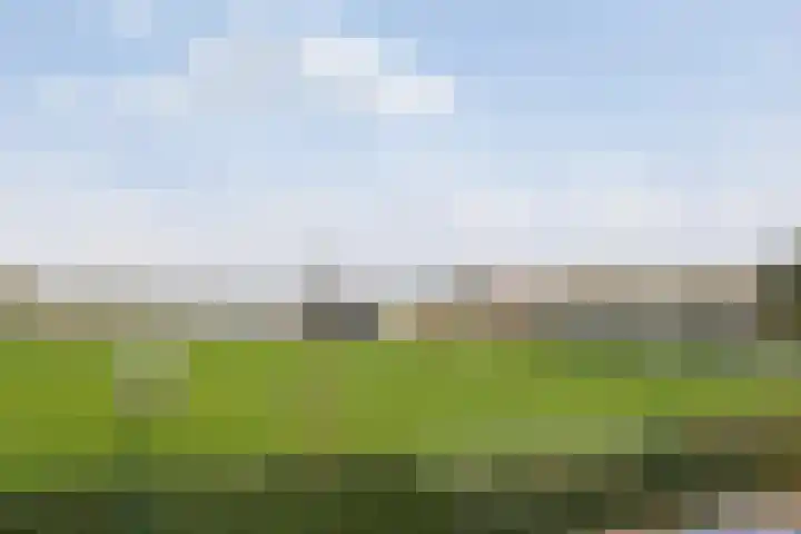 Vleeresteyn 20 Oegstgeest thumbnail 58