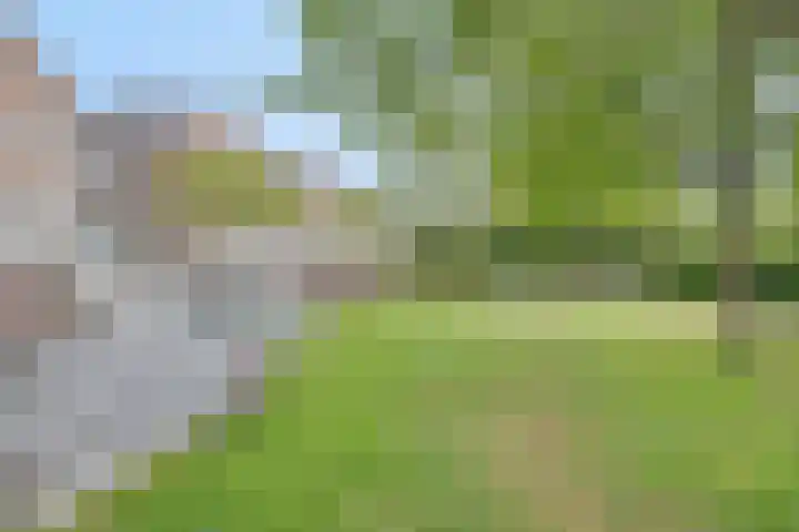 Vleeresteyn 20 Oegstgeest thumbnail 6