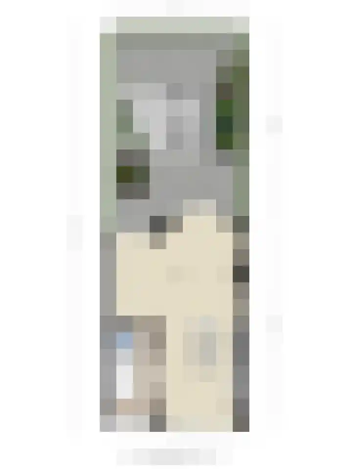 Vleeresteyn 20 Oegstgeest thumbnail 68